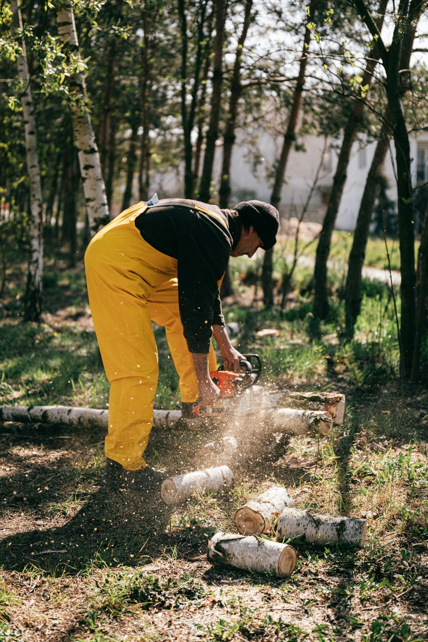 Lumberjack with firewood and chainsaw